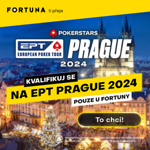 www.pokerman.cz